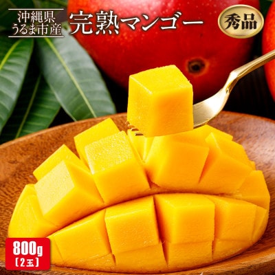 沖縄県うるま市産 完熟マンゴー 秀品 800g【2026年7月～順次発送】