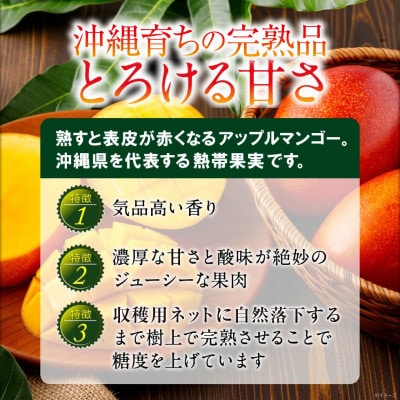 沖縄県うるま市産 完熟マンゴー 秀品 1kg【2026年7月～順次発送】