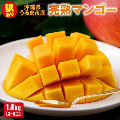 沖縄県うるま市産　完熟マンゴー(訳あり品)　1.4kg【2026年7月～順次発送】