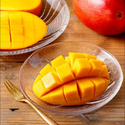 沖縄県うるま市産　完熟マンゴー(訳あり品)　1.4kg【2026年7月～順次発送】