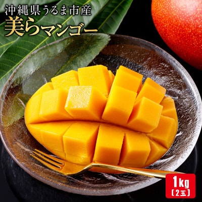 沖縄県 うるま市産 完熟 美らマンゴー 1kg