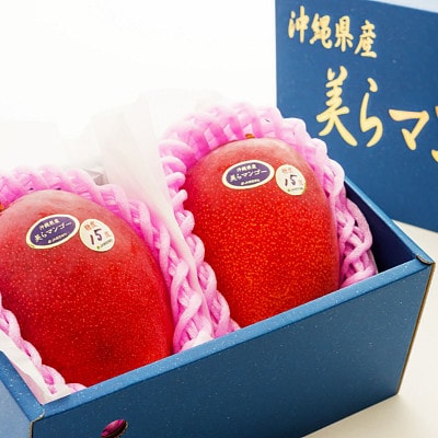 沖縄県 うるま市産 完熟 美らマンゴー 1kg