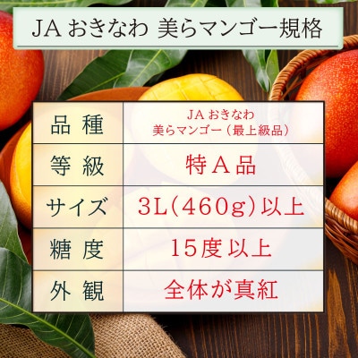 沖縄県 うるま市産 完熟 美らマンゴー 1kg