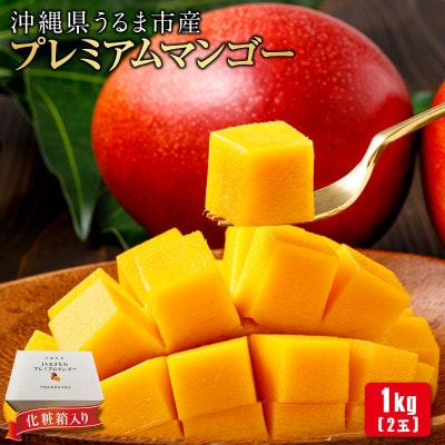 沖縄県 うるま市産 完熟 プレミアムマンゴー 1kg