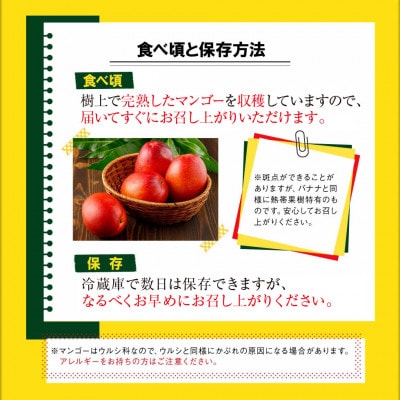 沖縄県 うるま市産 完熟 プレミアムマンゴー 1kg