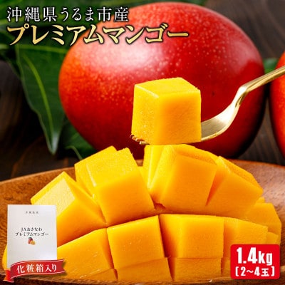 沖縄県 うるま市産 完熟 プレミアムマンゴー 1.4kg