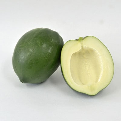 焙煎青パパイヤ茶8包入り×4袋セット
