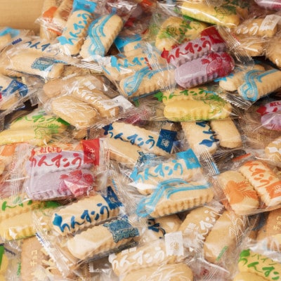おきなわ製菓　ちんすこう詰め合わせ　210袋