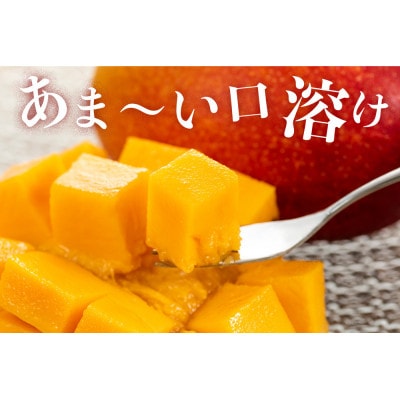 【2025年6月下旬より順次発送】高江さんの完熟マンゴー 約2Kg