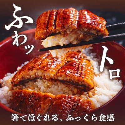 蒸したて風うなぎ3L(半身)×6P