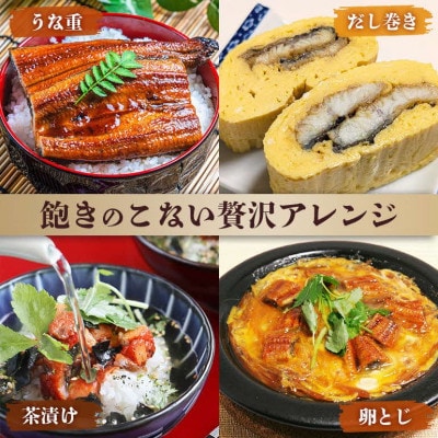 蒸したて風うなぎ3L(半身)×6P