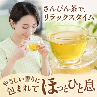 琉球ビバレッジ　さんぴん茶500ml×24本