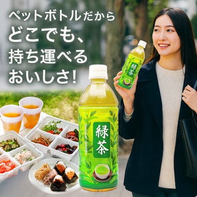 琉球ビバレッジ　緑茶500ml×24本