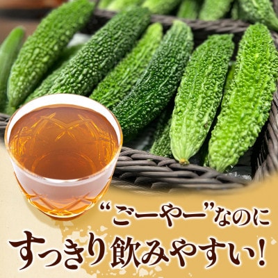 琉球ビバレッジ　ごーやー茶500ml×24本
