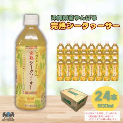 琉球ビバレッジ 沖縄県産やんばる完熟 シークヮーサー500mlPET×24本