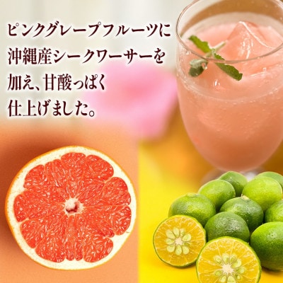 琉球ビバレッジ　琉球ピンクレモネード500mlPET×24本