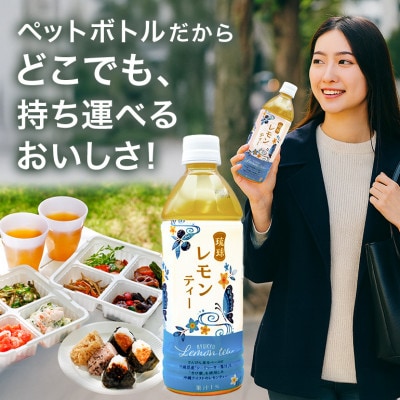 琉球ビバレッジ　琉球レモンティー500mlPET×24本