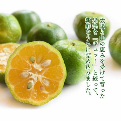 ざまみのシークヮーサー果汁100% 500ml×2本