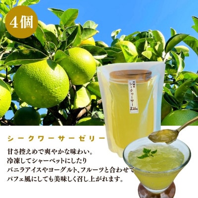 【おやつの実　Lafra(ラフラ)】自家製ゼリーアソート　8個セット