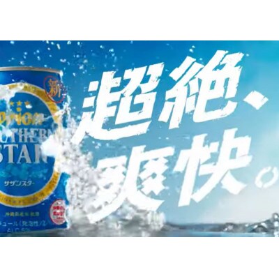 オリオンビール　サザンスター(350ml×24本)