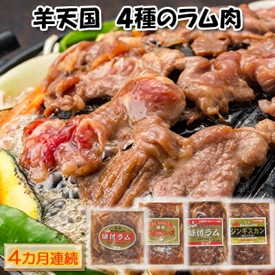 【4カ月定期便】子羊の味わい　～4種のラム肉セット～[No.5217-0099]