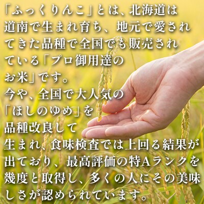 【6カ月定期便】北海道 木古内町産 ふっくりんこ 10kg 生産者応援米[No.5217-0272]