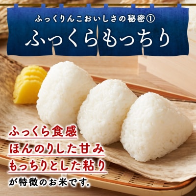 令和8年産!【6ヵ月定期便】北海道 木古内町産 ふっくりんこ 10kg 北海道米
