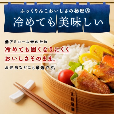 【10月発送!】令和7年産!【6ヵ月定期便】北海道 木古内町産 ふっくりんこ 15kg 北海道米