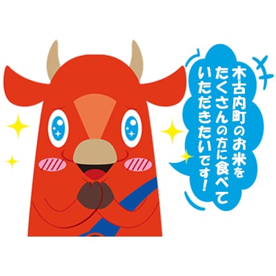 【6カ月定期便】北海道 木古内町産 ふっくりんこ 15kg 生産者応援米[No.5217-0276]