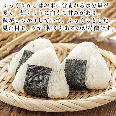 【6カ月連続】北海道木古内町産生産者応援米ふっくりんこ10kg+10kg[No.5217-0280]