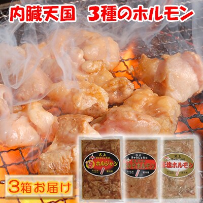 内臓天国　～3種のホルモン　3箱セット～[No.5217-0090] 