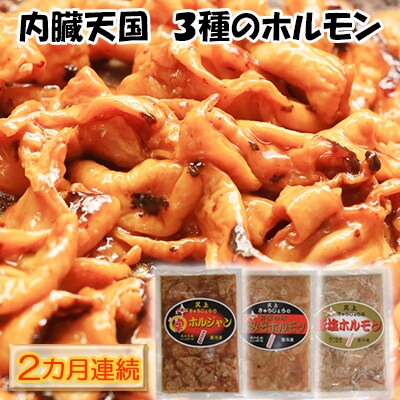 【2カ月定期便】内臓天国　～3種のホルモンセット～[No.5217-0092]