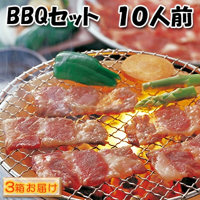 肉祭り開催!BBQセット　～焼肉10種　10人前コース～　3箱セット[No.5217-0102]