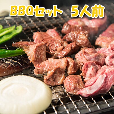 エンジョイ!BBQセット　～焼肉6種　5人前コース～[No.5217-0107]