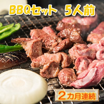 [2カ月定期便]エンジョイ!BBQセット 〜焼肉6種 5人前コース〜