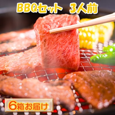ハッピー!BBQセット　～焼肉5種　3人前コース～　6箱セット[No.5217-0115]