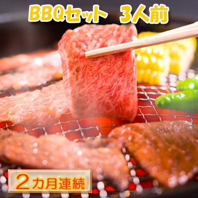 【2カ月定期便】ハッピー!BBQセット ～焼肉5種 3人前コース～[No.5217-0116]