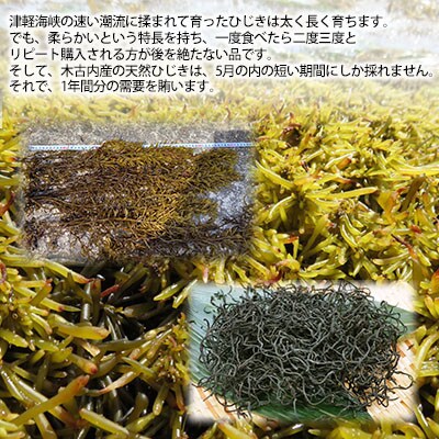 北海道産 ひじき・わかめセット[No.5217-0264]