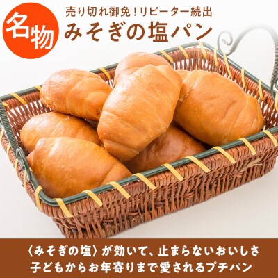 北海道 濃厚クリームチーズのベイクドチーズケーキ 1個 塩パン 30個 お取り寄せ