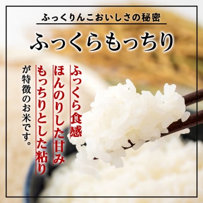 木古内町ふっくりんこ　10kg(5kg×2袋)