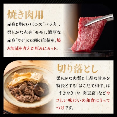 牛肉 切り落とし & 焼肉 はこだて和牛 計730g 和牛 あか牛 焼肉セット バーベキュー