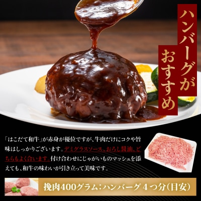 【2カ月定期便】はこだて和牛 ひき肉 400g×4袋 計3.2kg 北海道 牛肉 ビーフ 赤身 国産