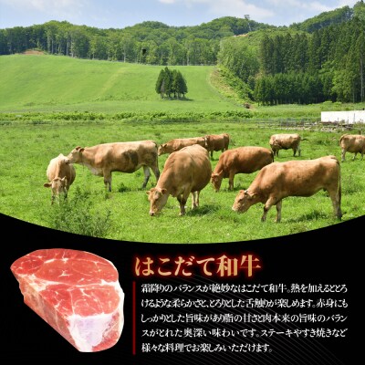 【2カ月定期便】はこだて和牛 ブロック肉 400g×6 計4.8kg 和牛 牛肉 ビーフ 赤身 国産