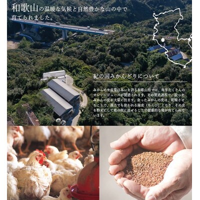 【印南町】紀の国みかんどり　もも肉とむね肉セット