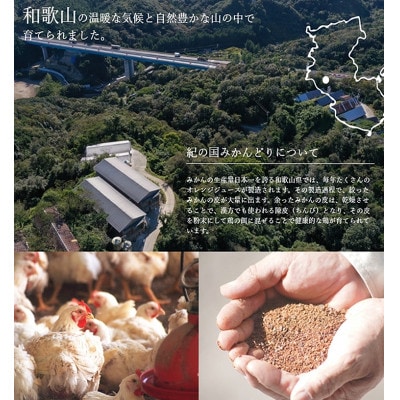 【印南町】紀の国みかんどり　丸鶏　1羽(約2kg)