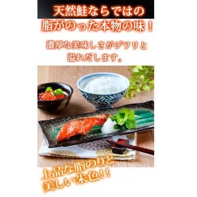 和歌山魚鶴仕込の天然紅サケ切身約2kg