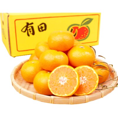 【2023年11月上旬発送】紀州有田産濃厚完熟温州みかん　5kg