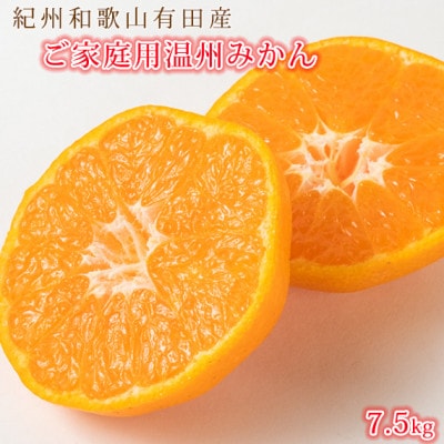 【2026年11月下旬より発送】【ご家庭用訳アリ】紀州有田産濃厚完熟温州みかん　7.5kg