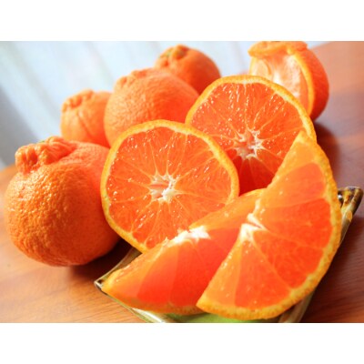 【2023年2月下旬発送】果肉プリプリ!完熟紀州デコ(不知火) 約5kg