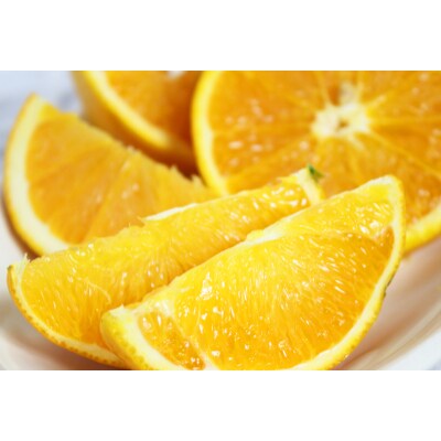 【2023年6月下旬発送】希少な国産バレンシアオレンジ　5kg